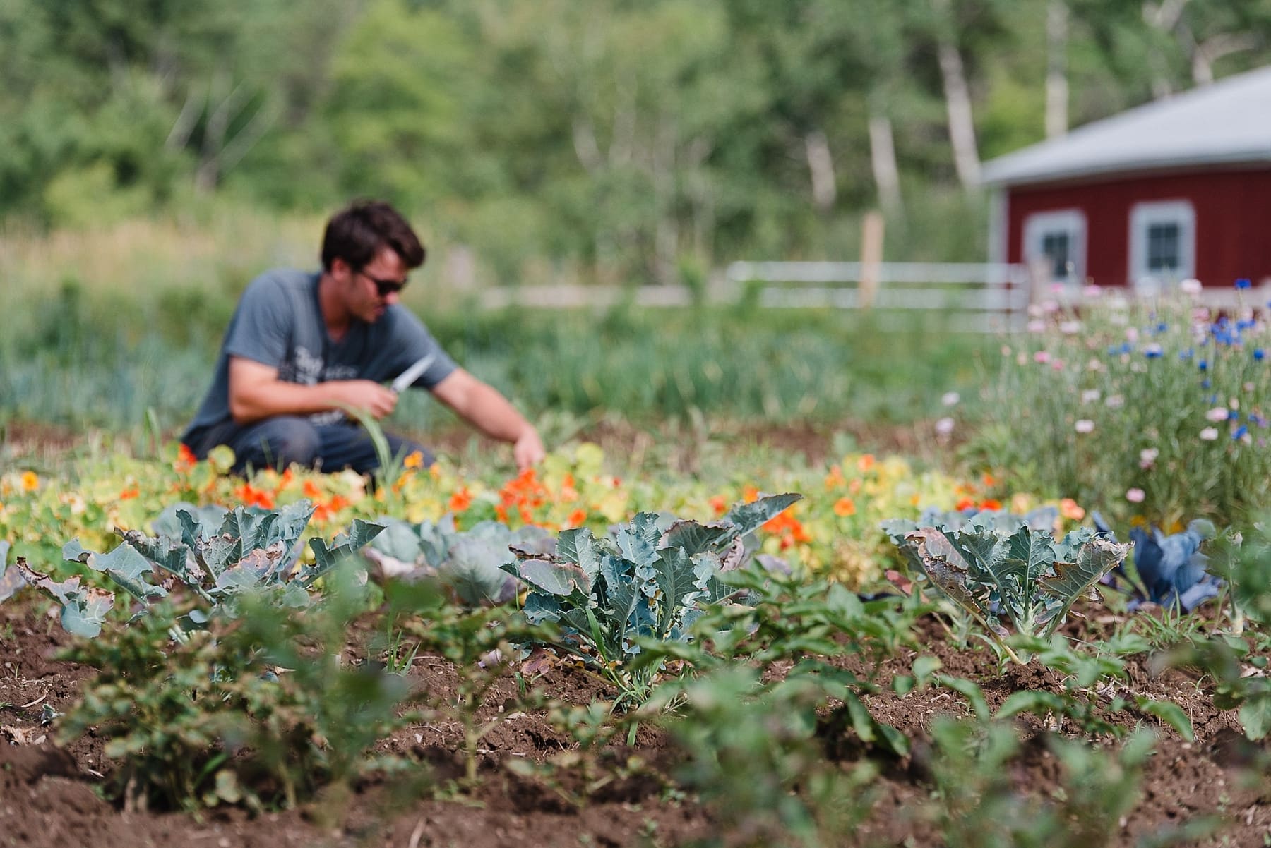Farm to Table for Your Wedding - Farmstead Catering Farmstead Catering Weddings 0807 - Farm to Table for Your Wedding - Farmstead Catering
