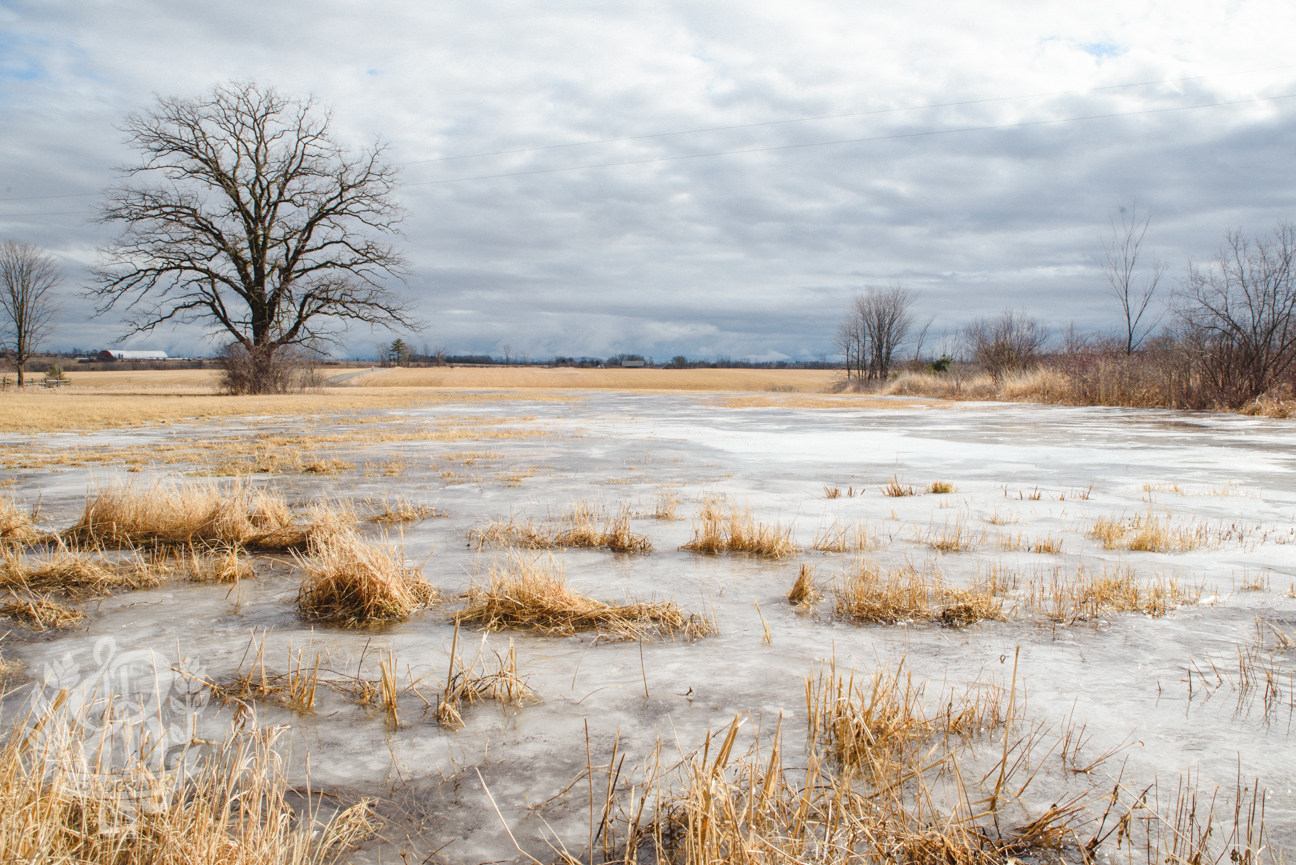 20160225 20160225 dsc 4829 - Barn and Ice