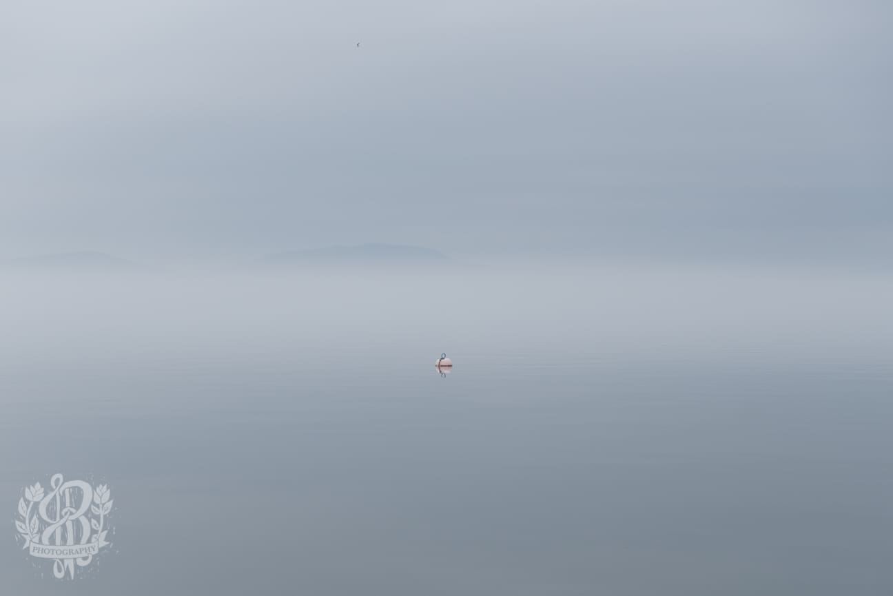 The Mystic essex fog 5532 - The Mystic