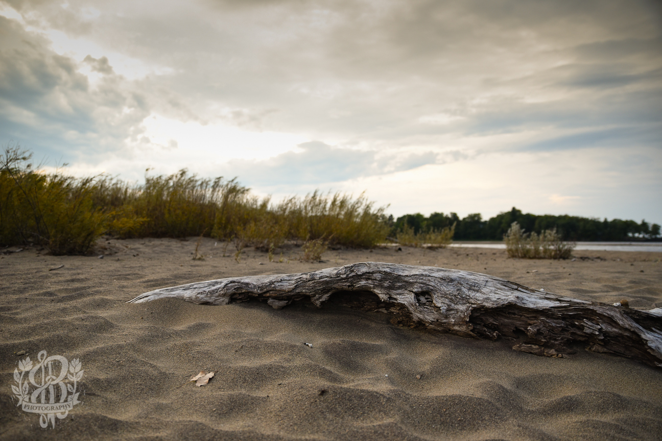 Almost the Ocean willsboro beach 6895 - Almost the Ocean