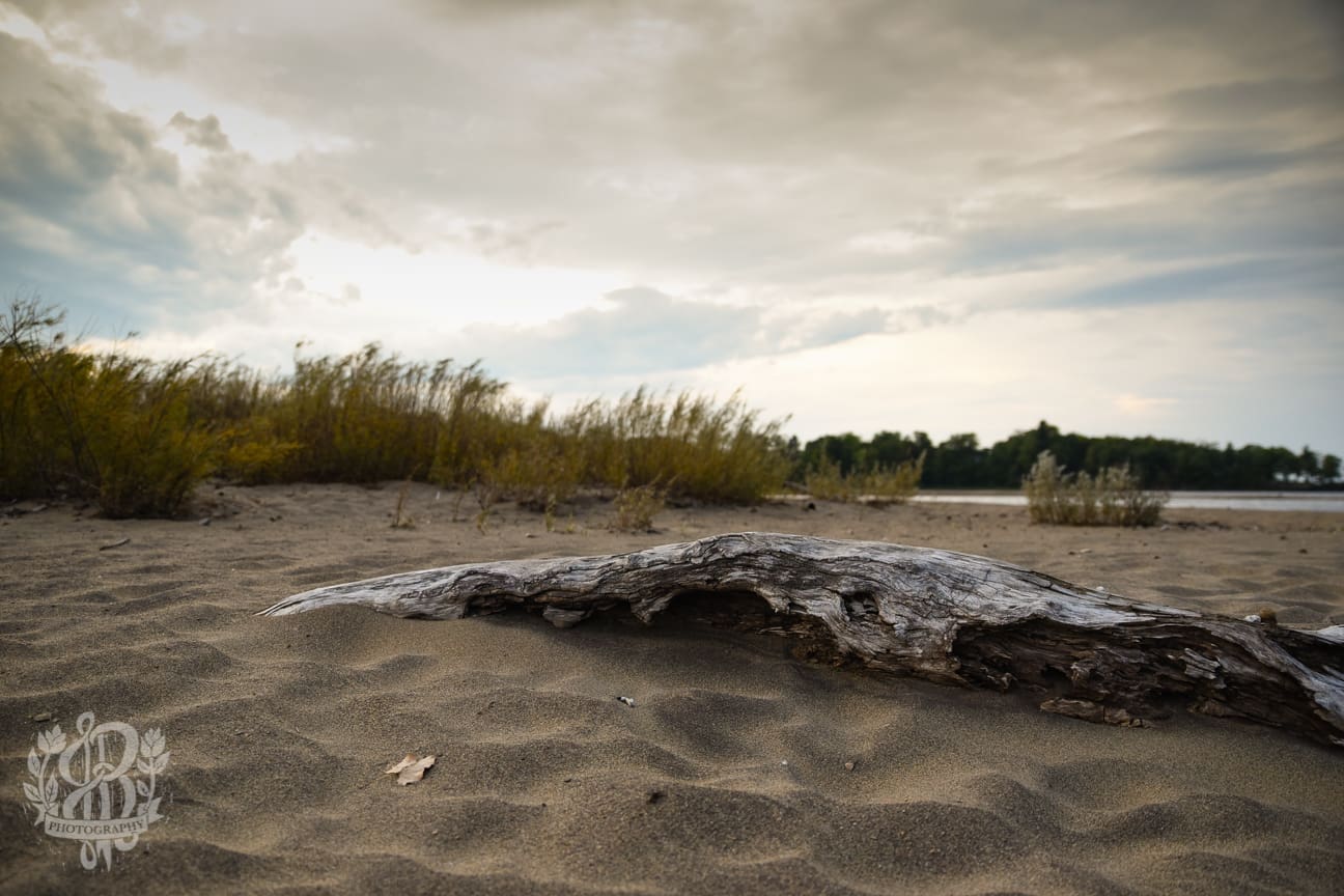 Almost the Ocean willsboro beach 6895 - Almost the Ocean